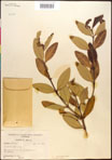 000016601-thumbnail.jpg