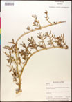 000016602-thumbnail.jpg