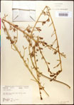 000016603-thumbnail.jpg