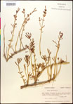 000016604-thumbnail.jpg