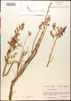 000016605-thumbnail.jpg