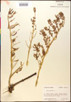 000016606-thumbnail.jpg