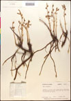 000016607-thumbnail.jpg