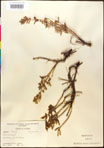 000016608-thumbnail.jpg
