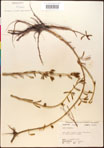 000016610-thumbnail.jpg