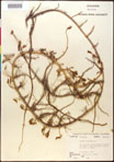 000016612-thumbnail.jpg