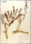 000016613-thumbnail.jpg
