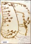 000016614-thumbnail.jpg