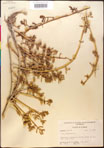 000016615-thumbnail.jpg