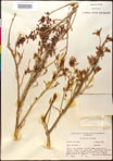 000016616-thumbnail.jpg