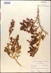 000016618-thumbnail.jpg
