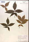 000016639-thumbnail.jpg