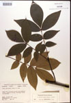 000016640-thumbnail.jpg