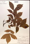 000016641-thumbnail.jpg