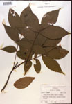 000016643-thumbnail.jpg