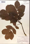 000016644-thumbnail.jpg