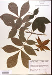 000016646-thumbnail.jpg