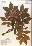 000016647-thumbnail.jpg