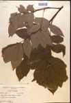000016649-thumbnail.jpg