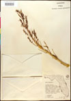 000016682-thumbnail.jpg