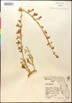 000016683-thumbnail.jpg