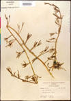 000016685-thumbnail.jpg