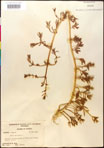 000016686-thumbnail.jpg