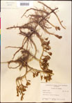 000016688-thumbnail.jpg