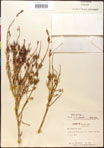 000016690-thumbnail.jpg