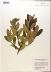 000016718-thumbnail.jpg