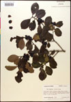 000016722-thumbnail.jpg