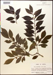 000016724-thumbnail.jpg