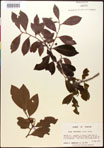 000016725-thumbnail.jpg