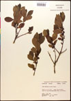 000016735-thumbnail.jpg