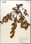 000016736-thumbnail.jpg
