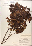 000016759-thumbnail.jpg