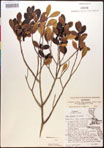 000016760-thumbnail.jpg