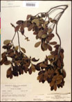 000016761-thumbnail.jpg