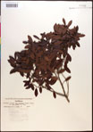 000016763-thumbnail.jpg