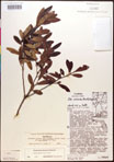 000016764-thumbnail.jpg