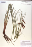 000016767-thumbnail.jpg
