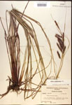 000016768-thumbnail.jpg