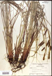 000016769-thumbnail.jpg