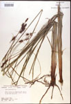 000016772-thumbnail.jpg