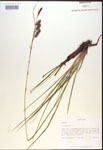 000016773-thumbnail.jpg