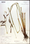 000016775-thumbnail.jpg