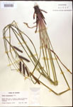 000016776-thumbnail.jpg