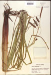 000016777-thumbnail.jpg