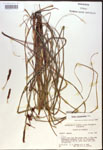 000016779-thumbnail.jpg