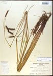 000016780-thumbnail.jpg